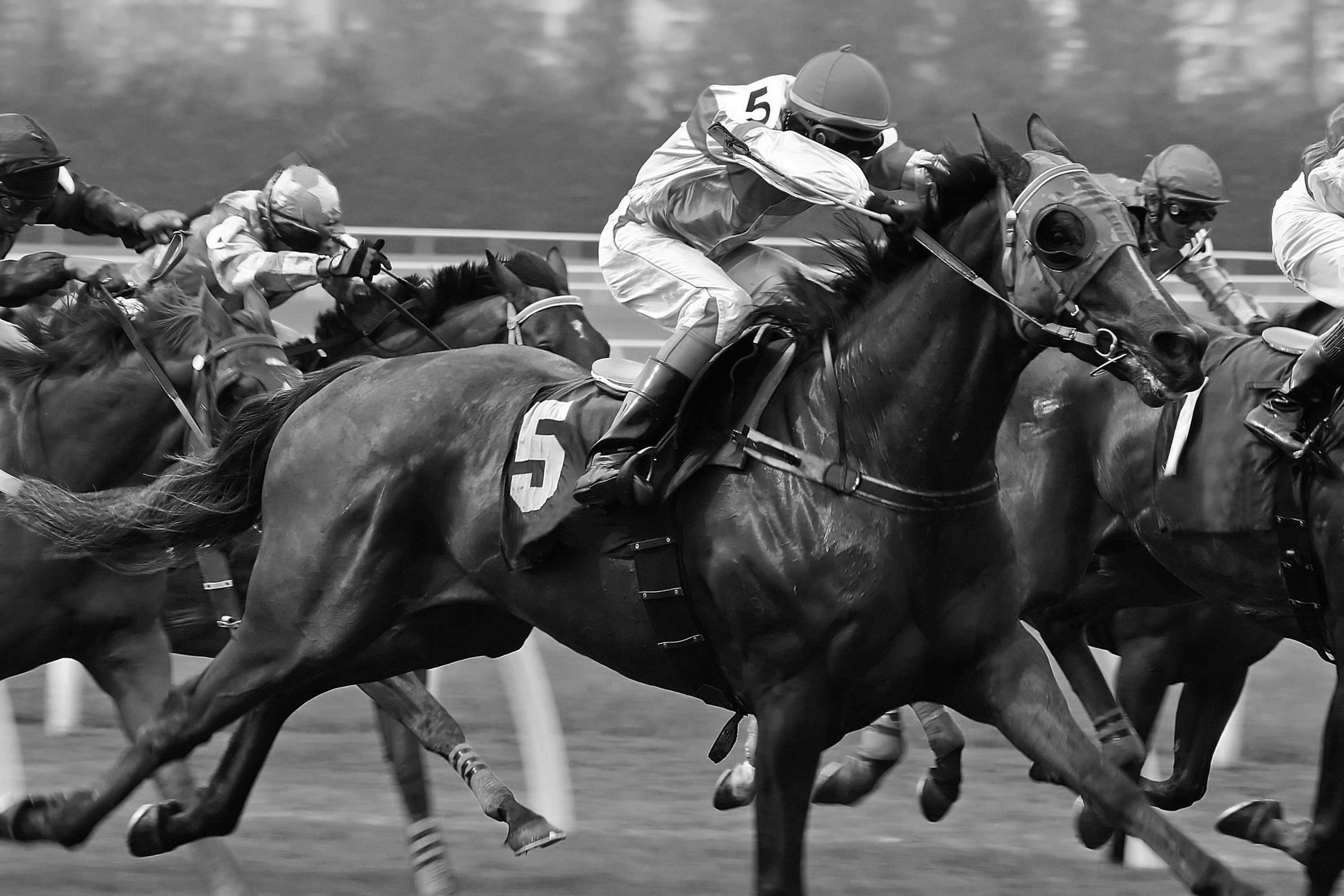 Black and white photo of horses racing