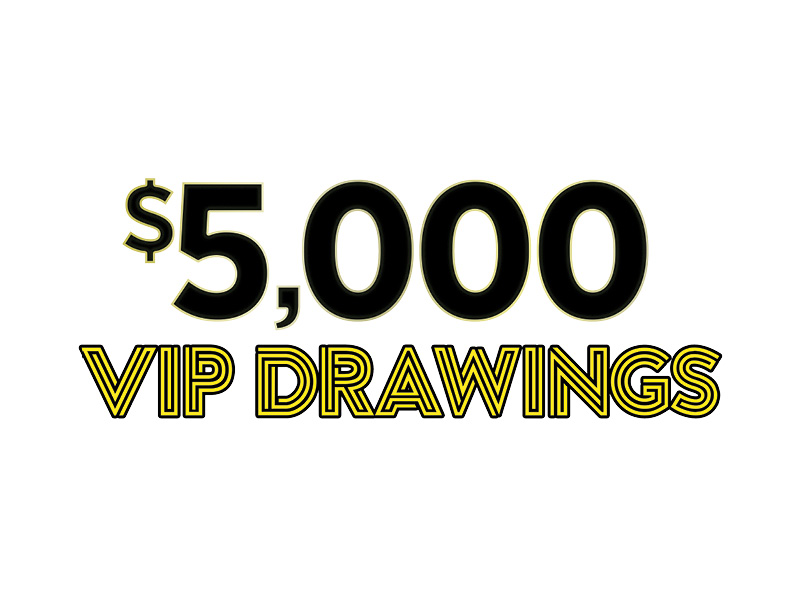 $5,000 VIP Drawings